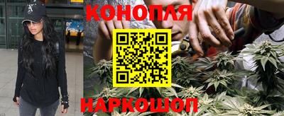 хмурый Донской