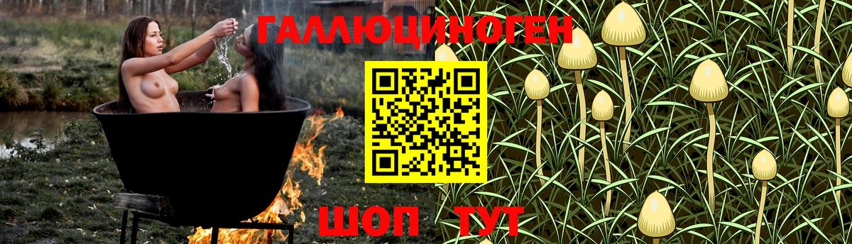 Можга  Псилоцибиновые грибы мицелий  Вход с VPN 